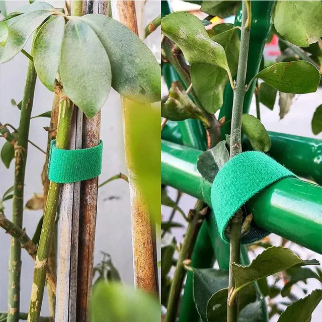 Praktická páska ze suchého zipu - pro připevnění a zpevnění rostlin nejen na vaší zahradě