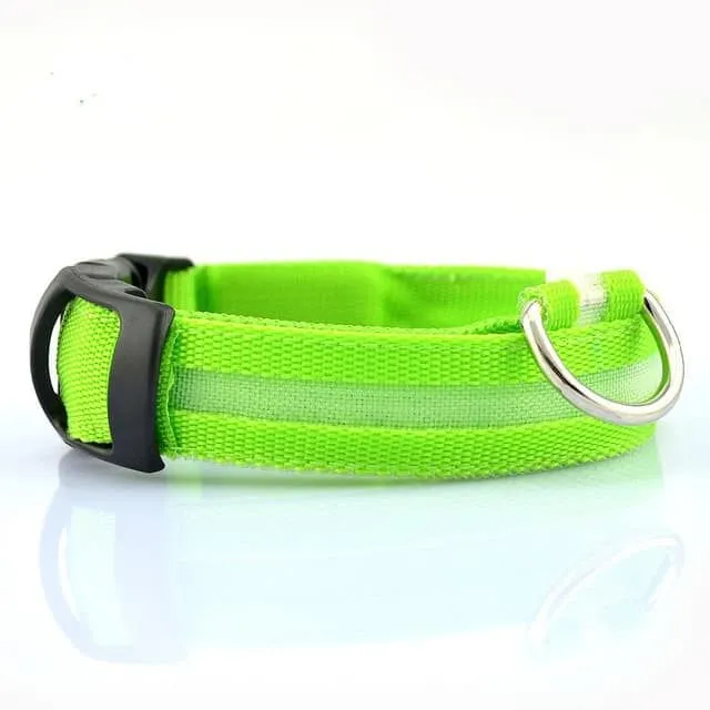 Luminous nylon collar for dogs