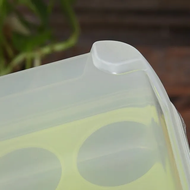 Colourful plastic egg storage box