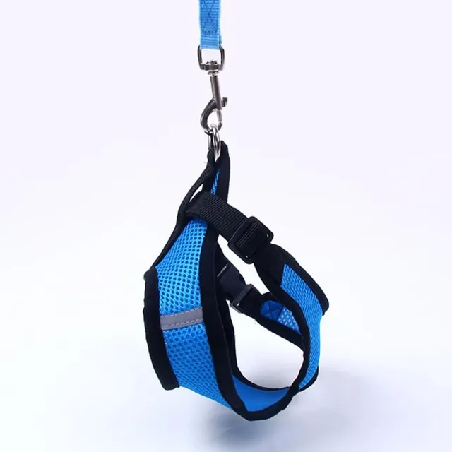 Cute breathable harness for dogs