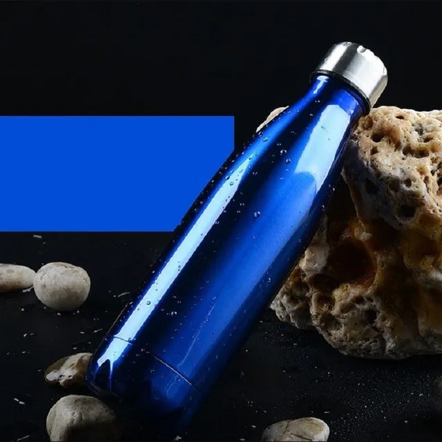 Stainless steel travel bottle