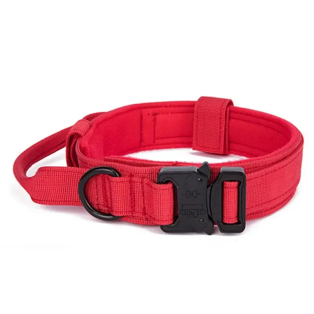 Tactical dog collar with handle for medium and large breeds