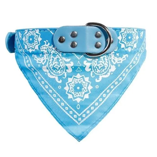 Stylish collar with scarf for dogs