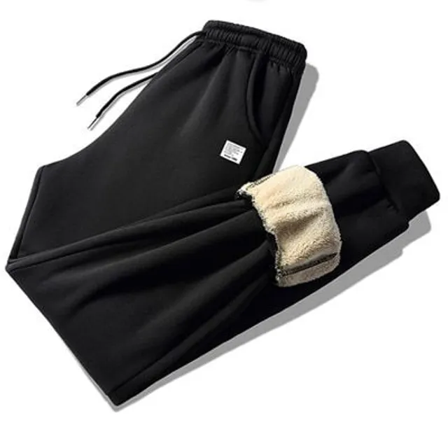 Pantaloni confortabili pentru bărbați pentru iarnă și toamnă cu fleece pentru fitness și stil sportiv