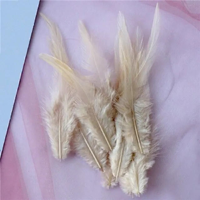 Decorative cock feathers 10-15 cm 50 pcs