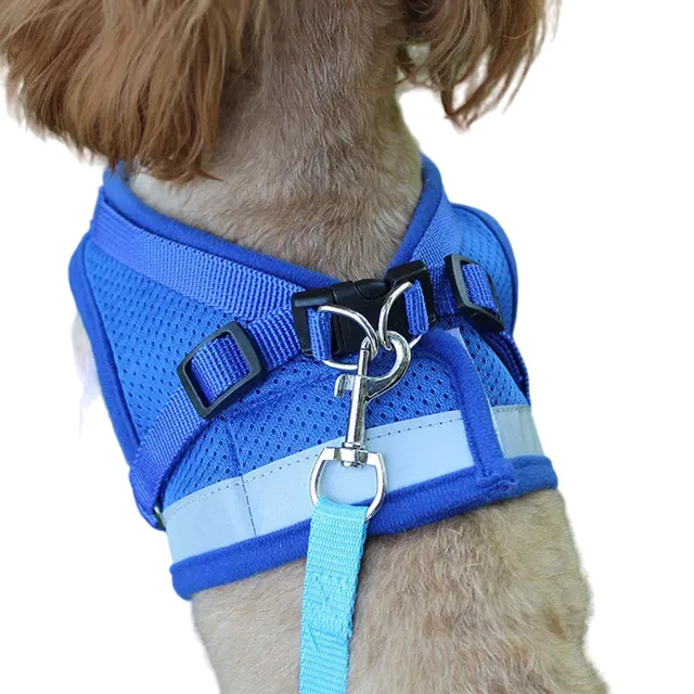 Reflective safety harness for dogs with leash Vesta for small dogs and puppies Chest breathing harness for dogs 3 - 4,5 kg