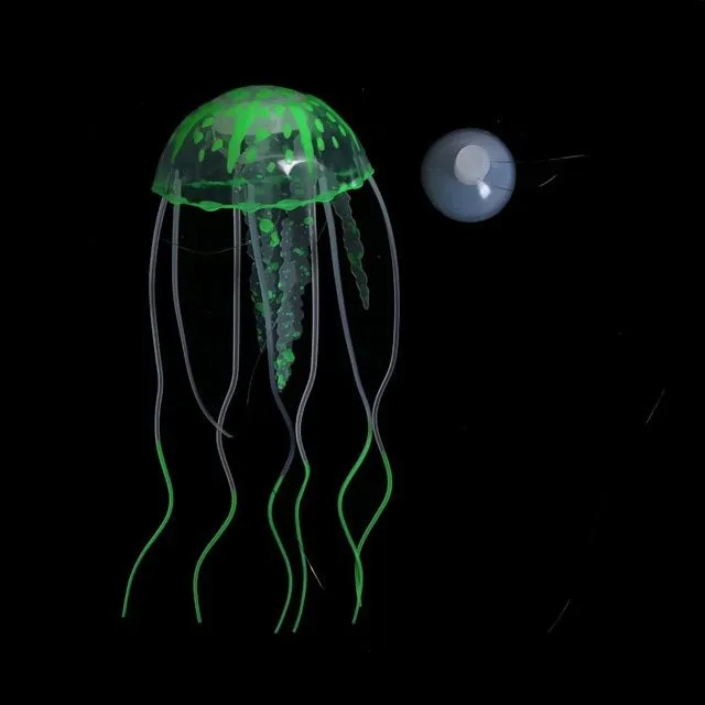Świecące meduzy do akwarium
