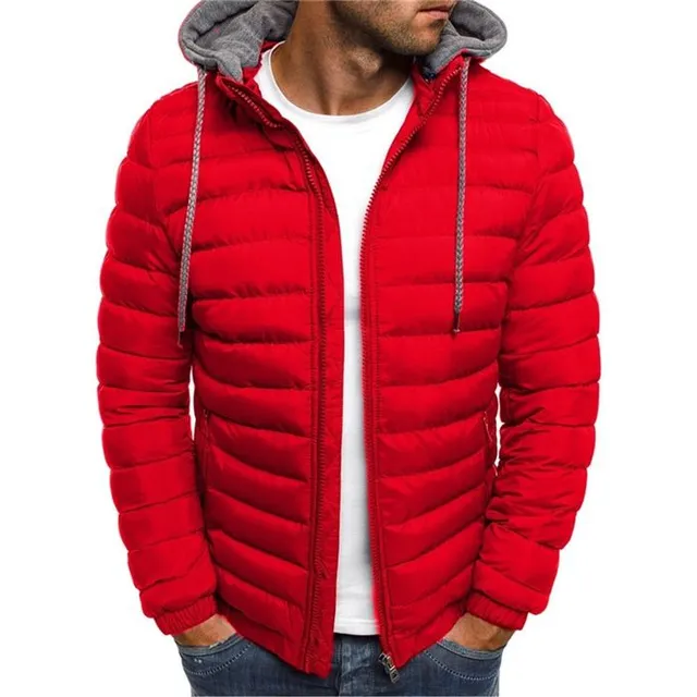 Men's sports quilted jacket with hood