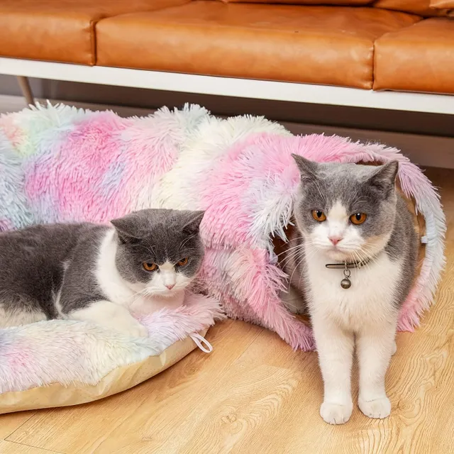 Ogrzewanie nadziewane tunel i łóżko dla kotów i p