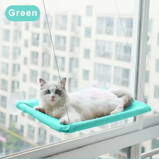 Păturică drăguță pentru pisici atârnând la fereastră