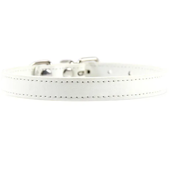 Modern trendy monocolor popular classic artificial leather collar - more colors