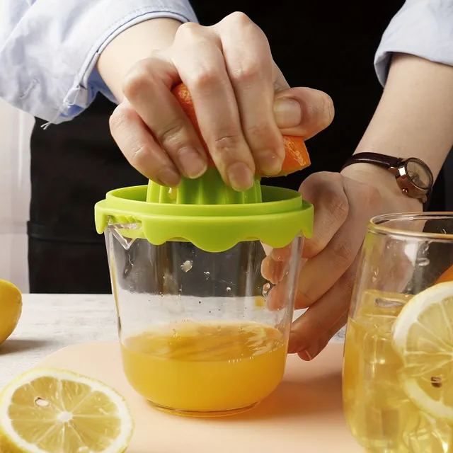 Multi-functional domestic citrus press