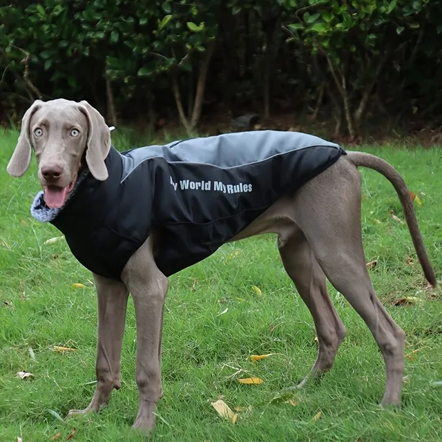 Winter waterproof suit for large dogs with reflective elements