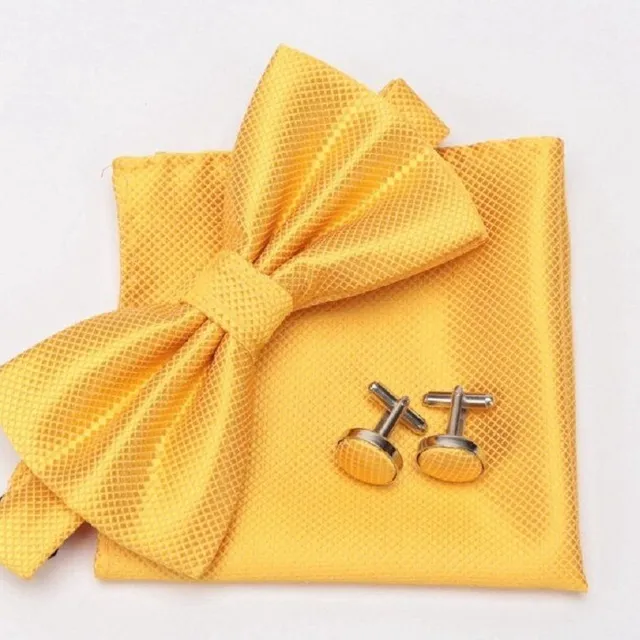 Men's bow tie, handkerchief and cufflinks