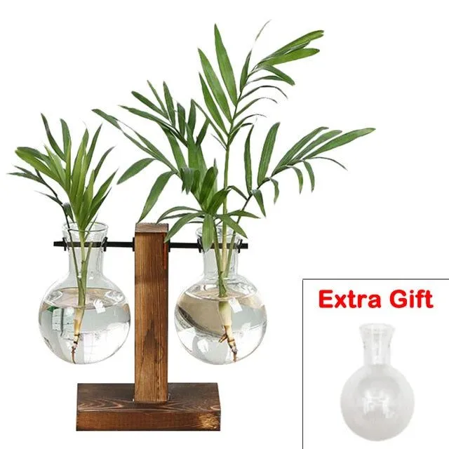 Hodgson-Burnett - Dark Academia - Vaze hidroponice pentru plante
