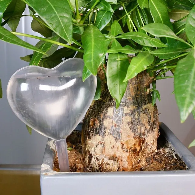 Water dispenser for flowers