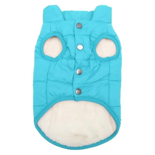 Insulated vest for dogs