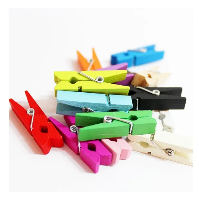 Mini wooden pegs | 50 pcs