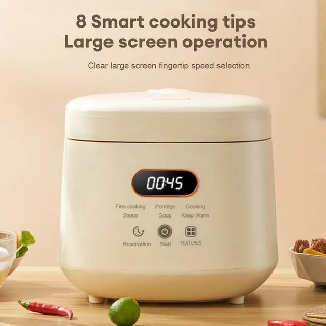 Small multifunctional rice cooker with removable non-stick container