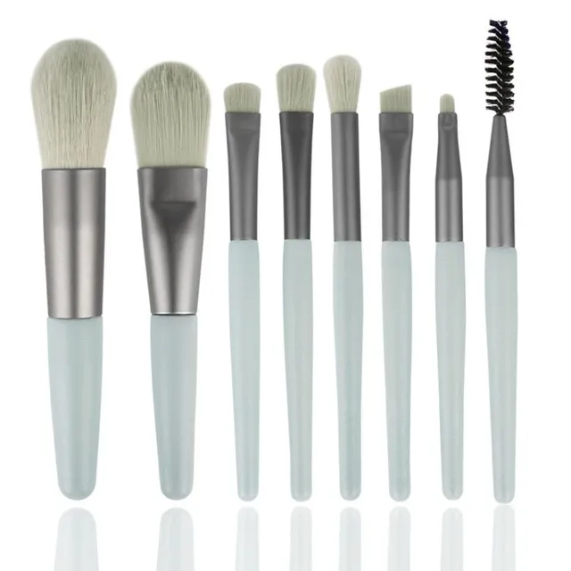 Set of professional cosmetic brushes in case