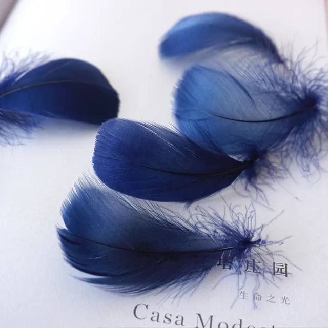 Natural coloured decorative feathers - 100 pcs