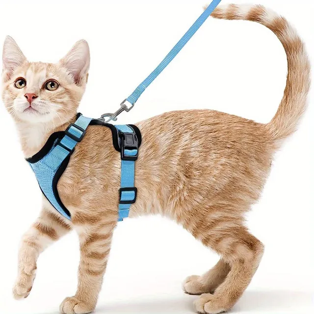 Safety harness and guide for cats - Soft and adjustable, Ideal for walking and exploring