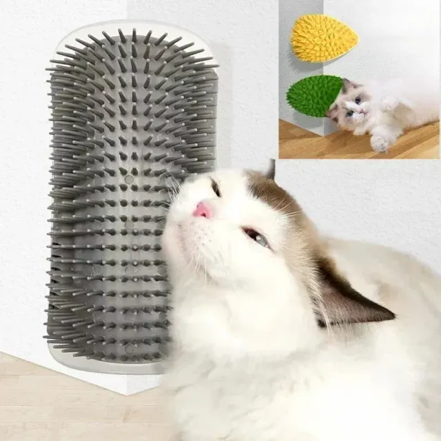 Play massage brush for hair removal and cat care