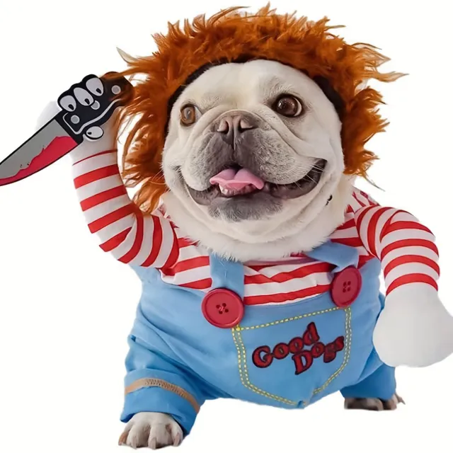 Halloween: Costume of scary dolls for dogs - Cute and scary at the same time