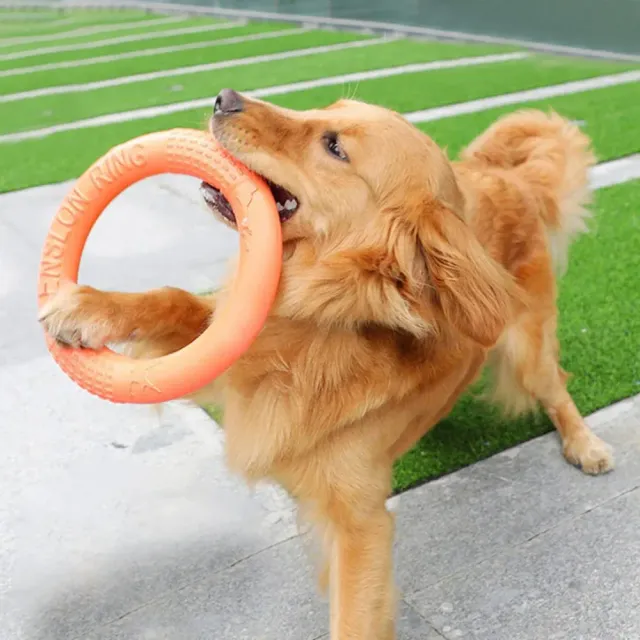 Interactive training flying disc for dogs, durable drag ring