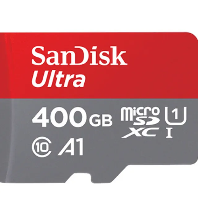 Card micro SD SanDisk