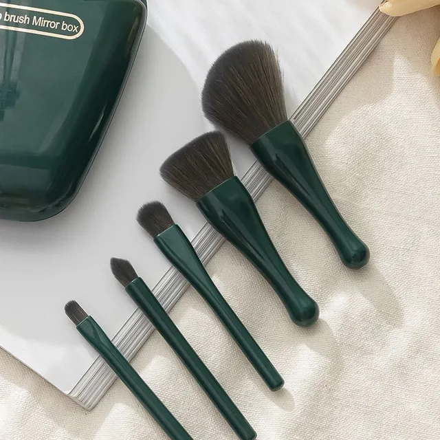 Design set of fine cosmetic brushes in practical packaging with mirror in shell shape