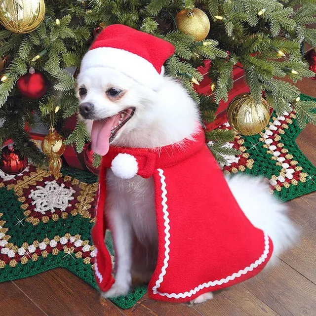 Christmas dress for cat or dog