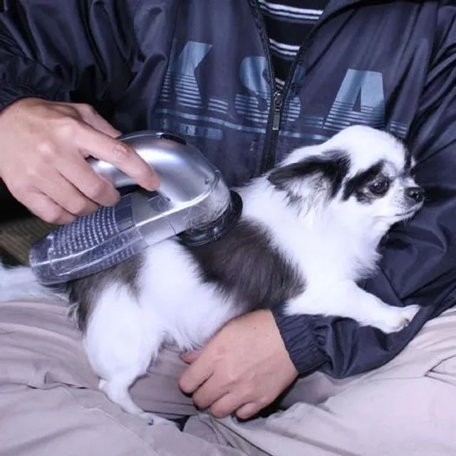 Portable animal hair vacuum cleaner