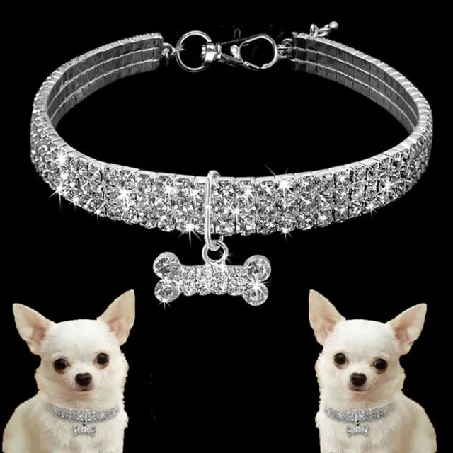 Collar for small and medium sized dogs with rhinestones and pendant