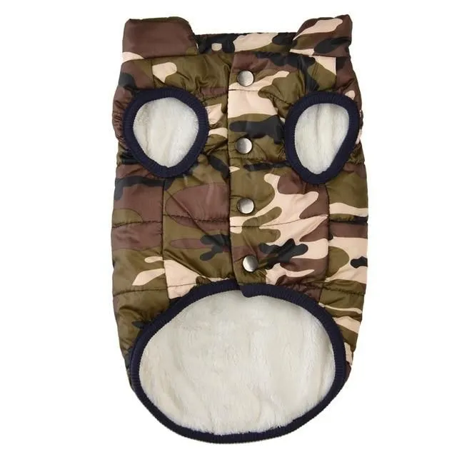 Insulated vest for dogs