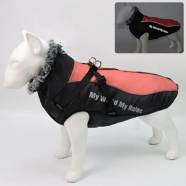 Jacket for dog