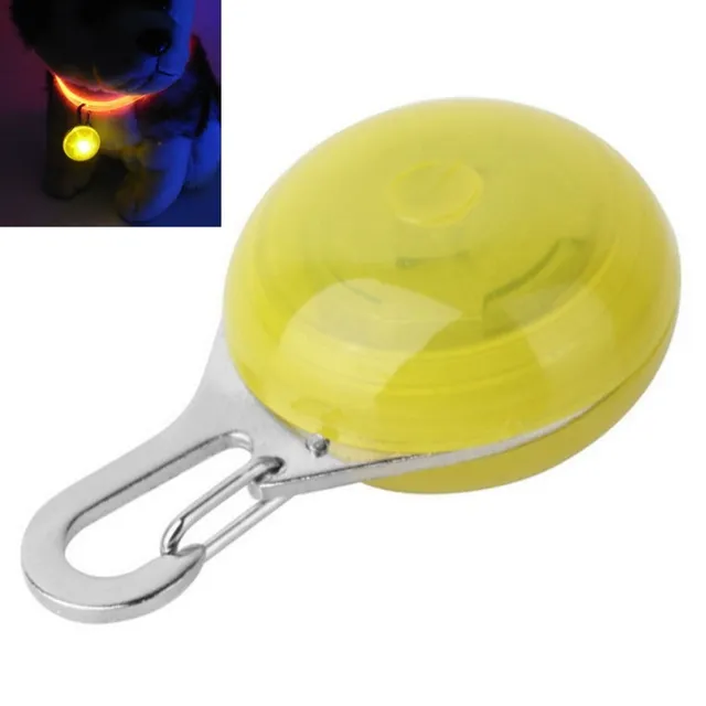 Illuminated round LED pendant for collar