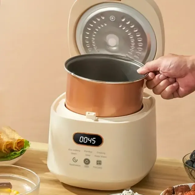 Small multifunctional rice cooker with removable non-stick container