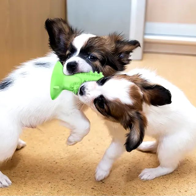 Giocattolo da masticare resistente per la pulizia dei denti per cani con spazzolino molare e cura dei denti per cuccioli