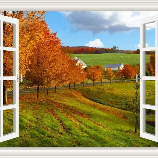 3D nálepka na stenu | Window, Landscape