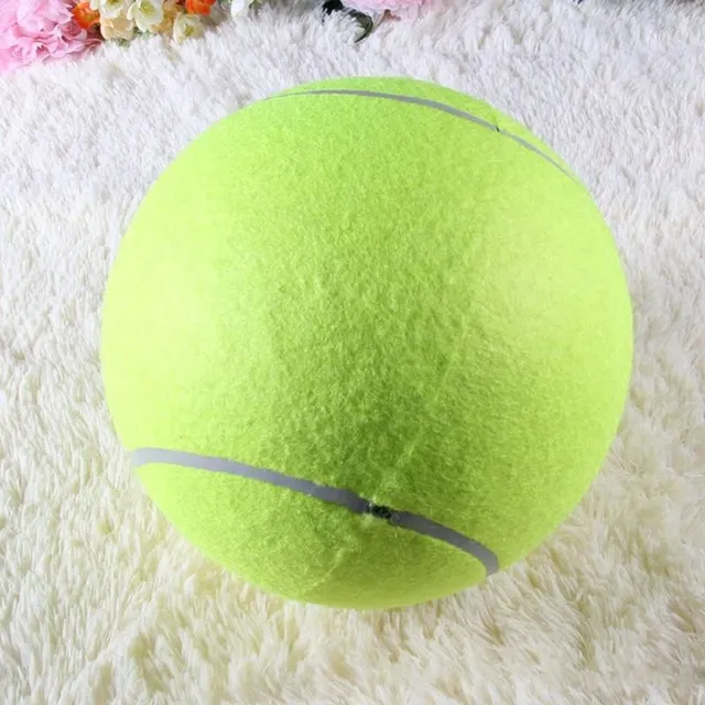 Large tennis ball for dog Thornton