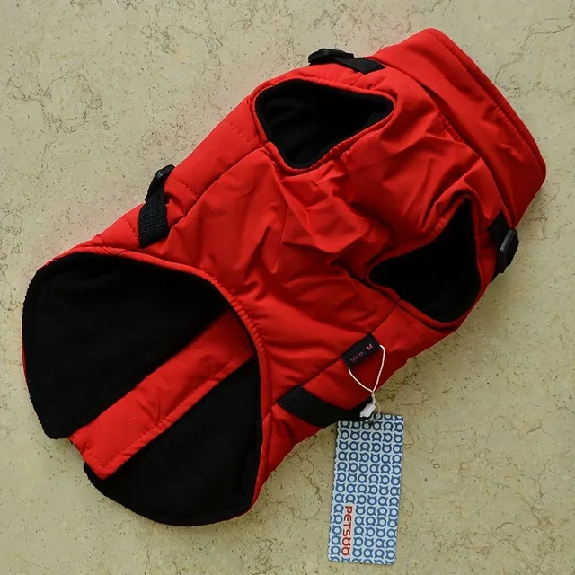 Warm, padded dog outfit with integrated harness for small and medium dogs