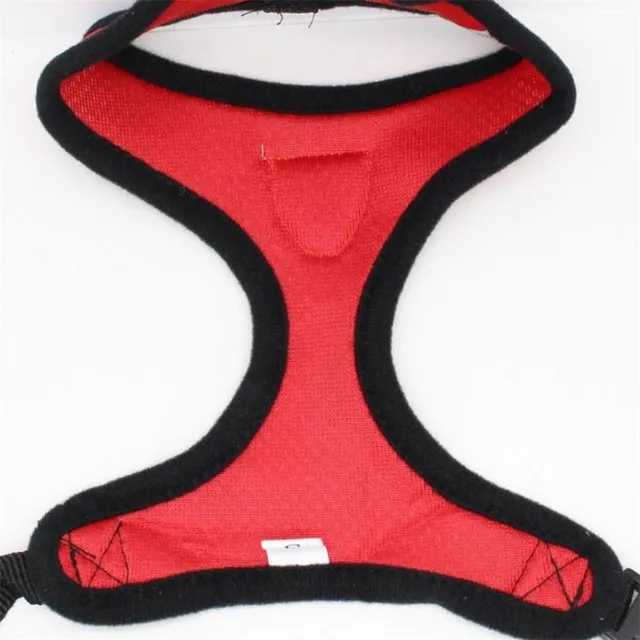 Cute breathable harness for dogs