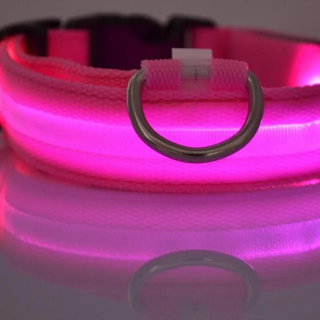 Illuminated LED dog collar