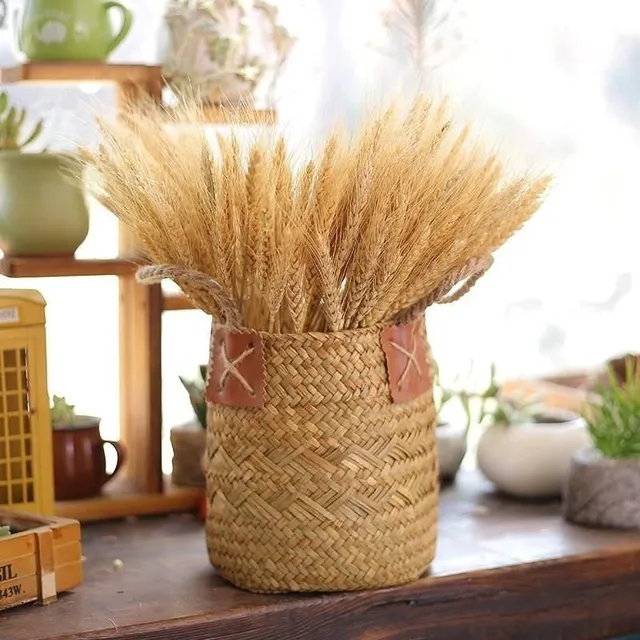 Decoration into vase of various colors - wheat ear