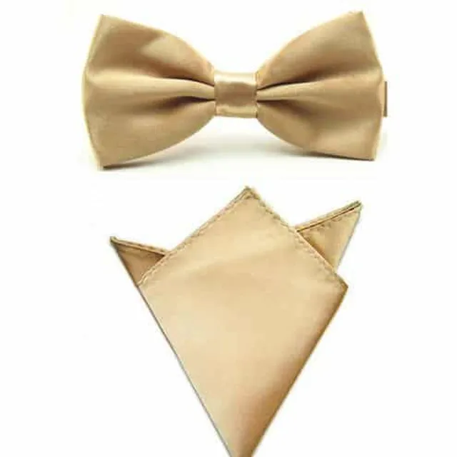 Men's luxury set | Bow tie, Handkerchief