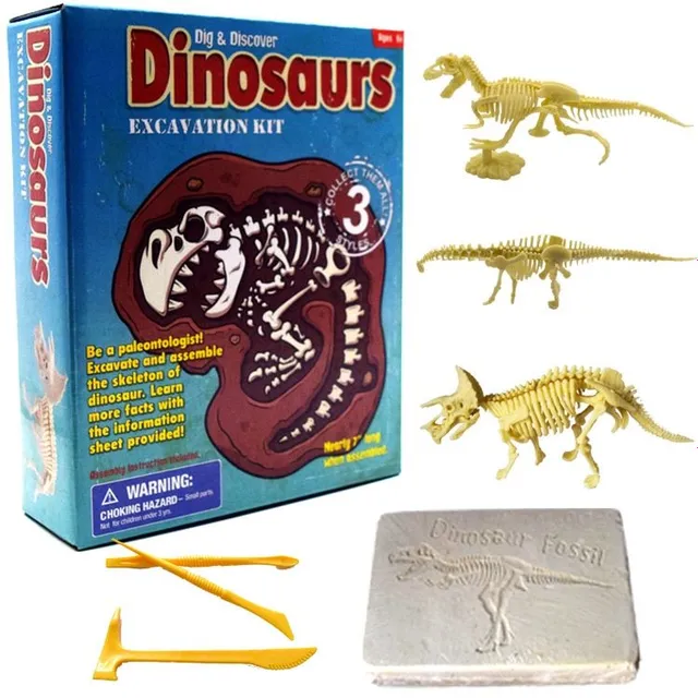 3D Dinoszaurusz csontjai