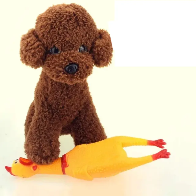 Houkající kuřátko - Zábavná pískací hračka pro psy s bezpečným gumovým materiálem pro žvýkání