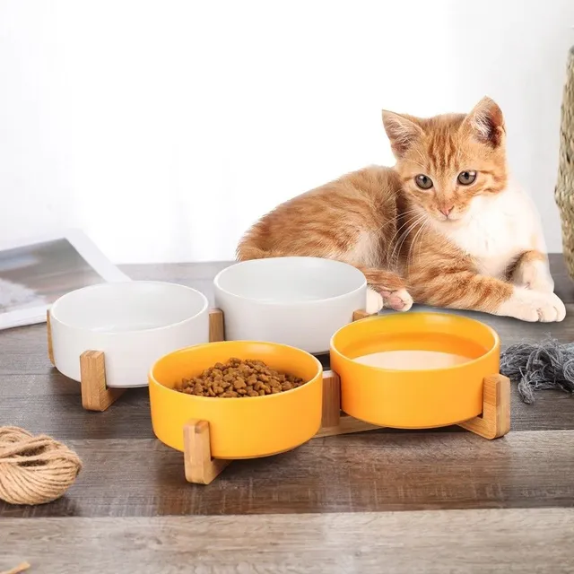 Ceramic bowls for cats with stand