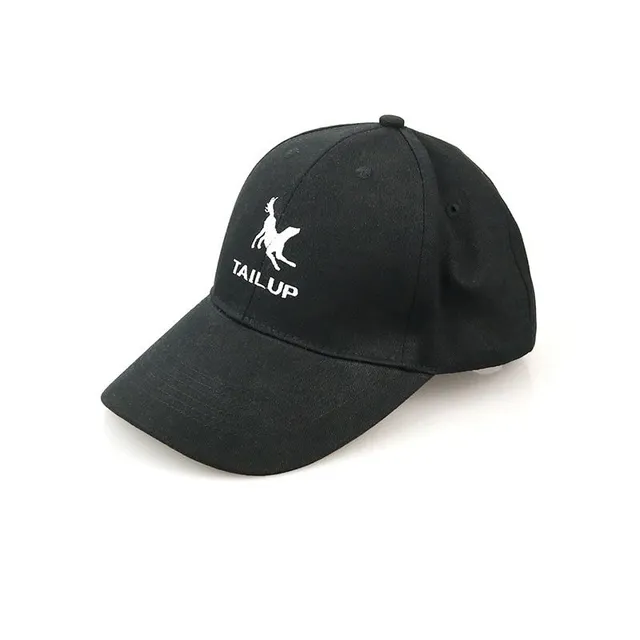 Cap for dogs and owner